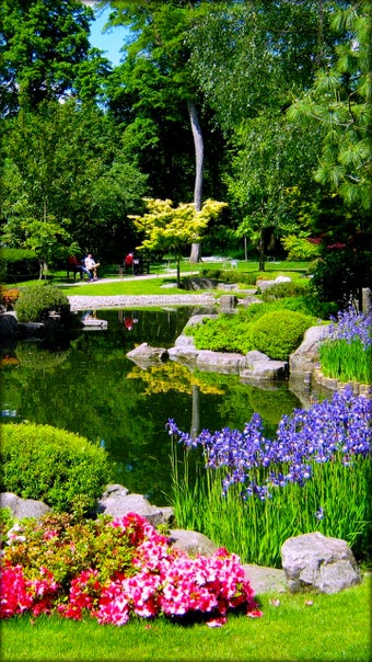 Imagen 0 para Garden Live Wallpaper