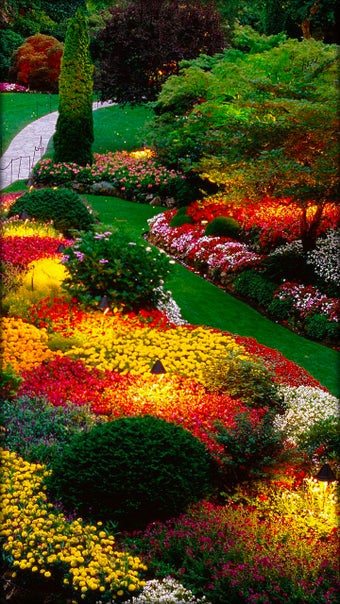 Imagen 4 para Garden Live Wallpaper