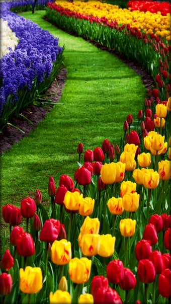 Imagen 8 para Garden Live Wallpaper