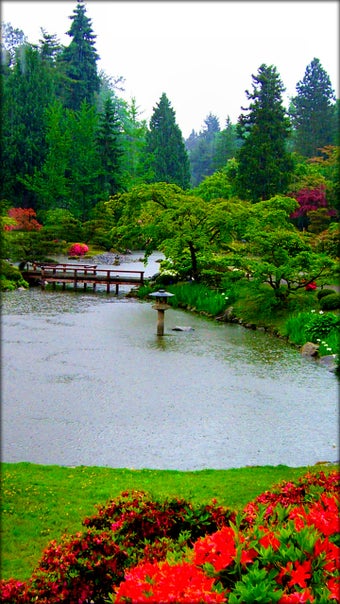 Imagen 1 para Garden Live Wallpaper