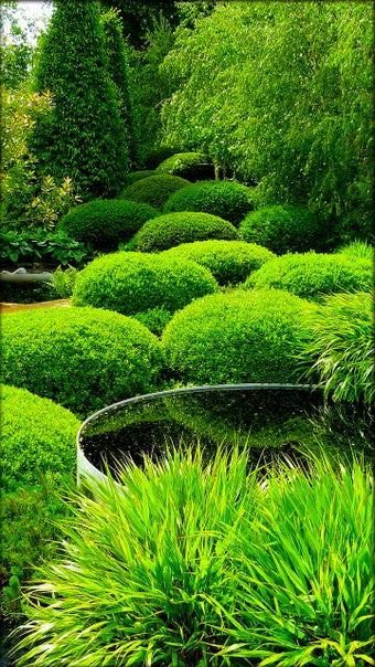 Imagen 5 para Garden Live Wallpaper