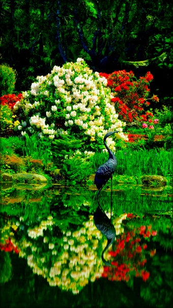 Imagen 10 para Garden Live Wallpaper