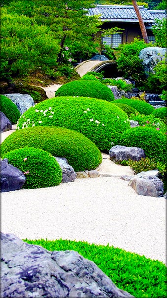 Imagen 6 para Garden Live Wallpaper