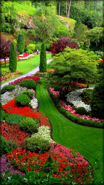 Imagen 3 para Garden Live Wallpaper