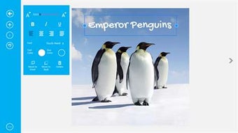 Image 2 for Book Creator for Windows …