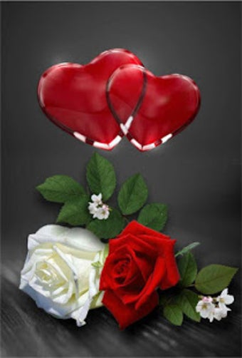 Image 2 for Wonderful Flowers Roses i…