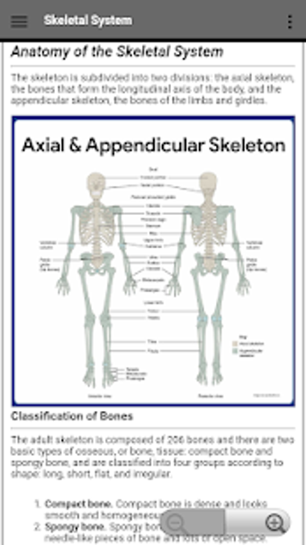 Imagen 3 para Skeletal System