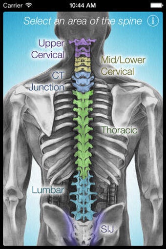 Image 0 for Dynamic Spine