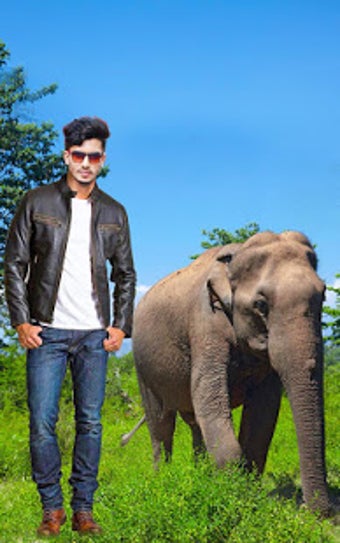 Image 0 for Wild Animal Photo Editor …