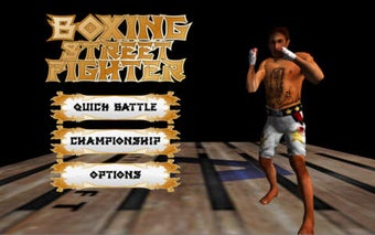 Image 0 for Boxing Street Fighter