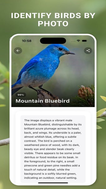 Imagen 0 para Bird Identifier: Sound & …