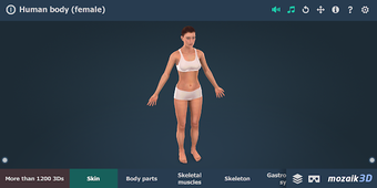 Image 1 for Human body (female) educa…