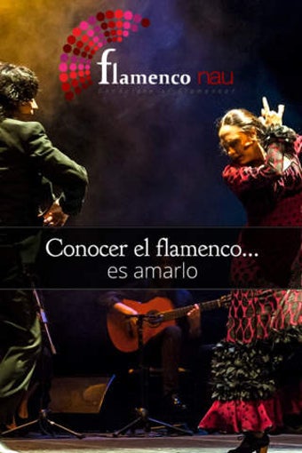 Image 0 for Flamenco nau 2.1