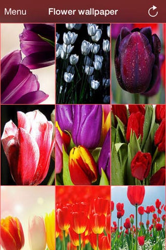 Image 0 for Flower wallpaper for iPho…