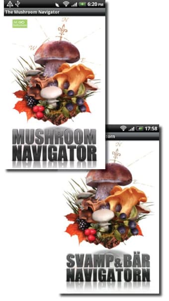 Image 0 for The Mushroom Navigator