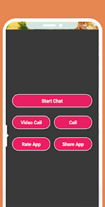 Imagen 1 para Dua Lipa Fake Video Call