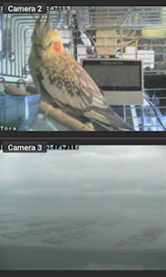 Imagen 3 para IP Camviewer for Bosch