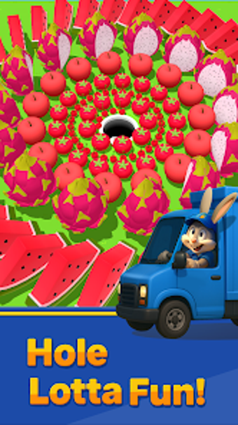 Image 0 for Hole Express