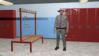 Image 0 for New York State Police NYS…