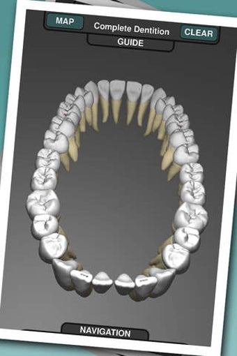 Imagen 0 para Real Tooth Morphology