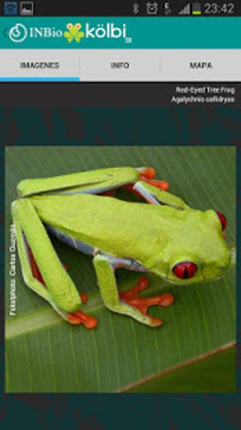 Image 2 for Touit