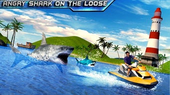 Image 1 for Shark Sniping 2017