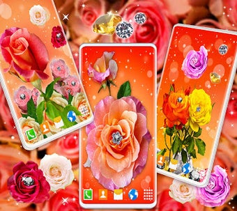 Imagen 3 para Diamond Shine Rose Live W…