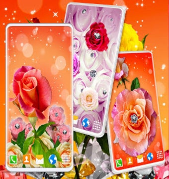 Imagen 0 para Diamond Shine Rose Live W…