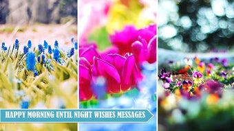 Image 2 for Good Morning Noon Good Ni…