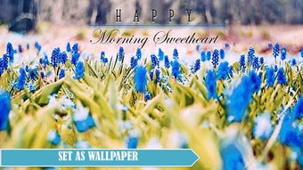 Image 0 for Good Morning Noon Good Ni…