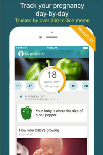 Imagen 0 para My Pregnancy & Baby Today…