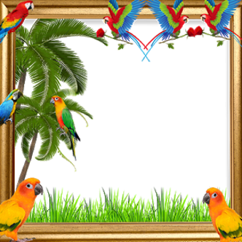 Imagen 1 para Parrot Insta DP