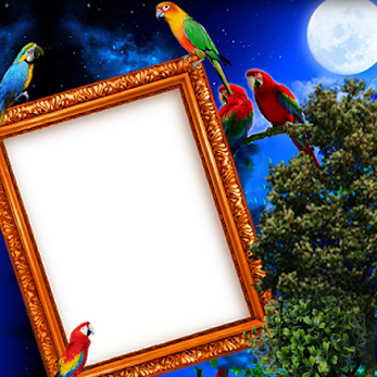 Imagen 0 para Parrot Insta DP