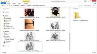 Imagen 3 para Image Archiver for Tumblr…