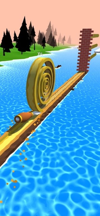 Image 3 for Spiral Roll
