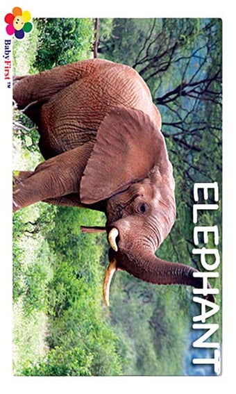 Imagen 1 para Safari for Windows 10
