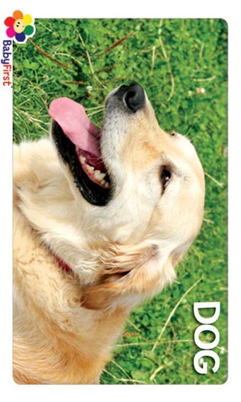 Image 1 for Safari for Windows 10