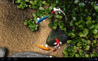 Image 1 for Koi Free Live Wallpaper