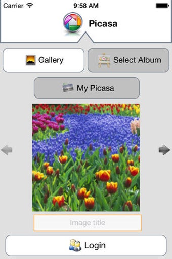 Imagen 0 para Picasa Pro