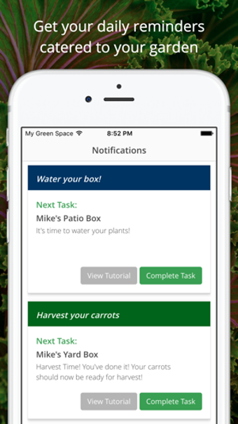 Image 3 for My Green Space - Grow you…