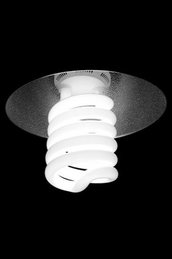 Image 0 for A Free Torch