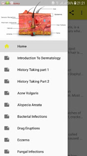Imagen 0 para Color Atlas of Skin Disea…