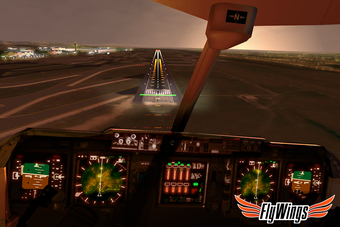Imagen 0 para Flight Simulator Paris 20…