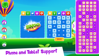 Imagen 2 para Bingo