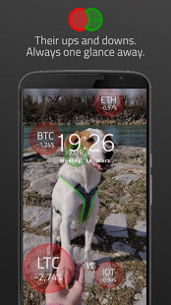 Image 3 for Crypto Bubbles Live Wallp…