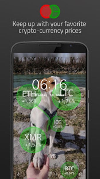 Image 2 for Crypto Bubbles Live Wallp…