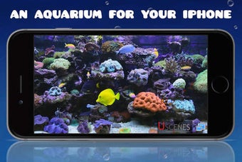 Imagen 0 para Aquarium HD : Tropical an…