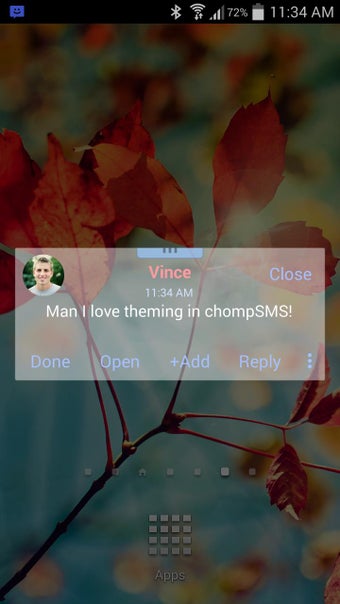 Image 1 for Simplistic Theme (chomp)