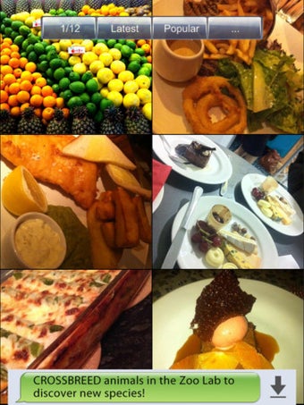 Imagen 7 para Food Pics!