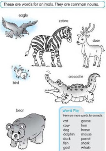 Imagen 0 para English Grammar Book Free